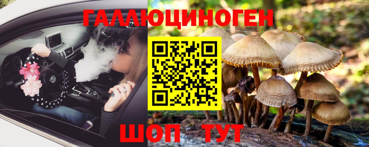 Псилоцибиновые грибы Cubensis  Вход с VPN  Ивантеевка 